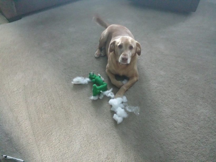 Big Things Can Come in Smaller Packages